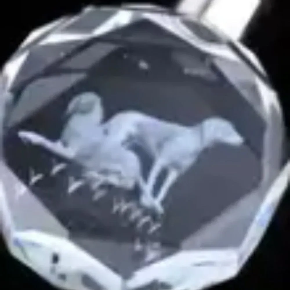 Dog Crystal Keychains with LED Light